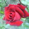DSC02420