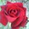 DSC02421