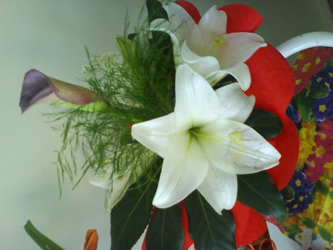 DSC02428