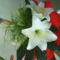 DSC02428