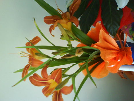 DSC02429