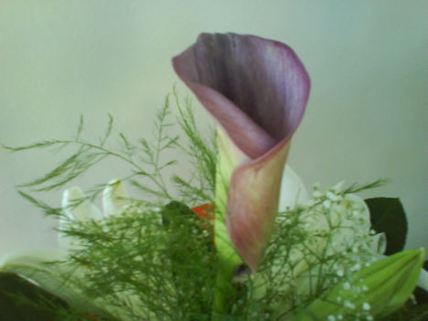 DSC02431