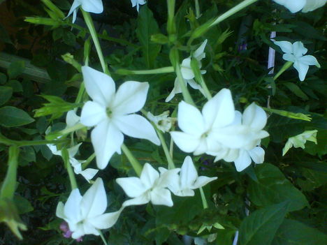 DSC02440