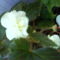 DSC02442