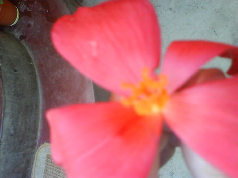DSC02443