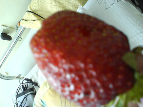DSC02469
