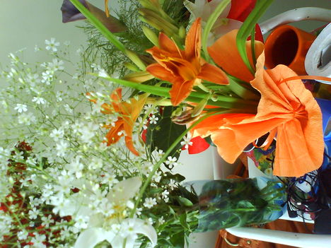 DSC02470