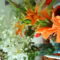 DSC02470