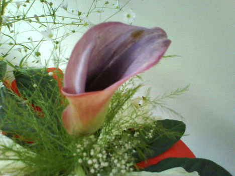 DSC02473
