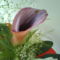 DSC02473