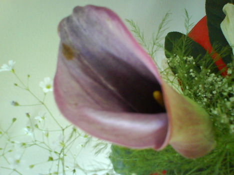 DSC02474
