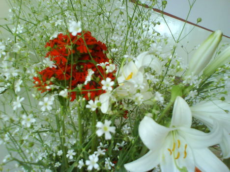 DSC02476