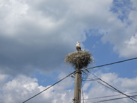 DSCF0427