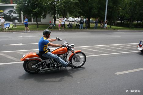 Harley davidson 2009.  10