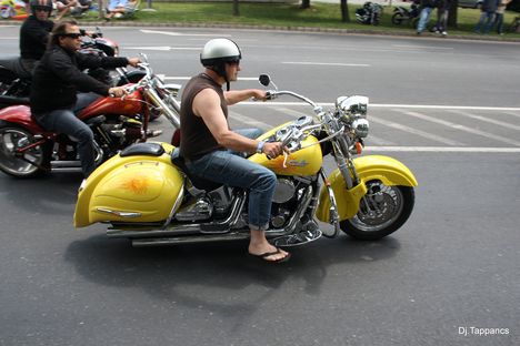 Harley davidson 2009.  10