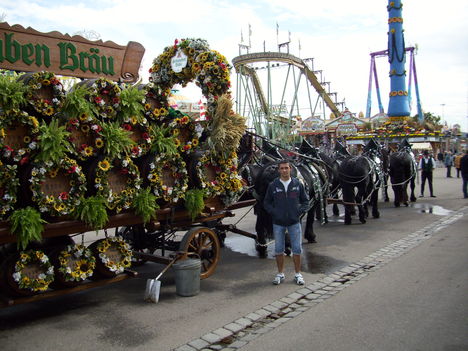 szaby5