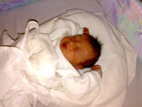 Vivike 1