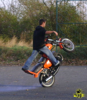 galamb tamás stunt rider
