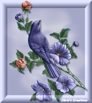 Kék madaras kép