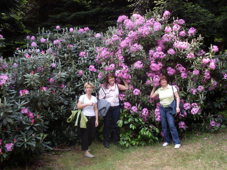 lányok és rhododendron