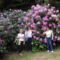 lányok és rhododendron