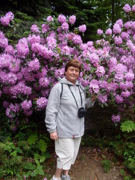 rhododendron és én