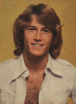 Andy Gibb 2