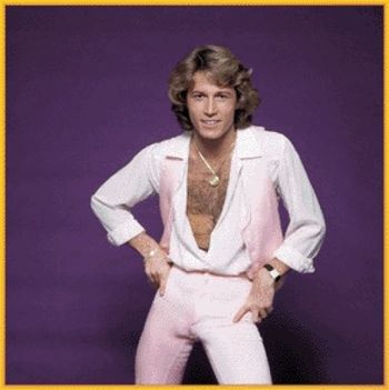 Andy Gibb 5