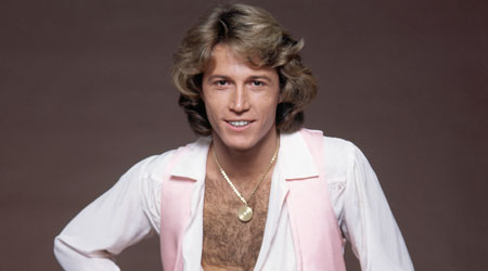 Andy Gibb 6