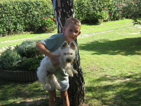kutya_004[1]
