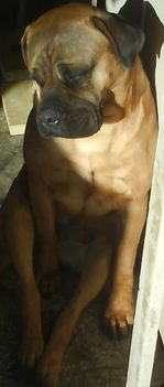 Csüccs!:)