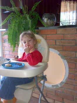 20080426353