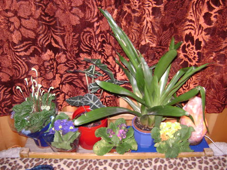 DSC05488