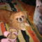 Karácsony2009 032