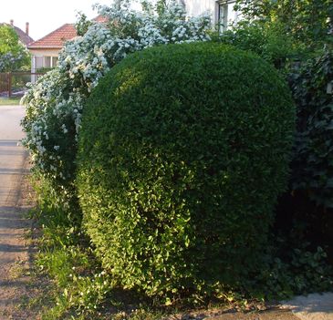 utca részlet