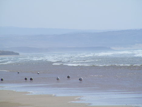 Essaouira 12