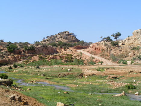 Essaouira 14