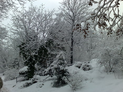 Havas téli vasárnap a Gellért-hegyen