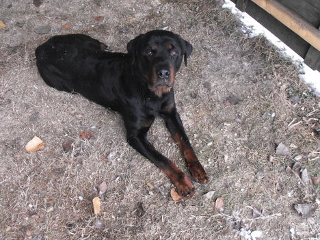 2010 január