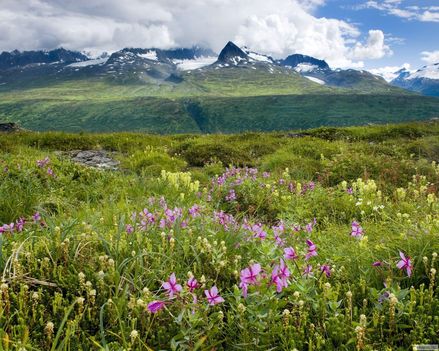 Alaszka 2