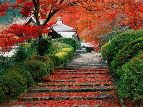 Garden_Staircase,_Kyoto,_Japan