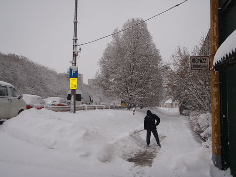 Tél 2010. 11