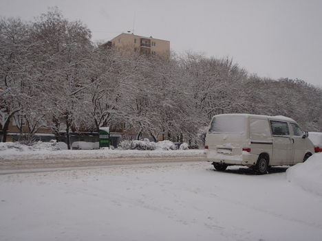 Tél 2010. 12