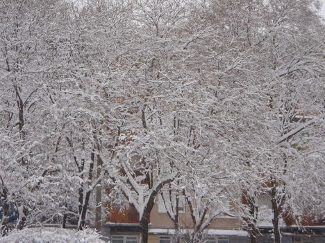 Tél 2010. 13