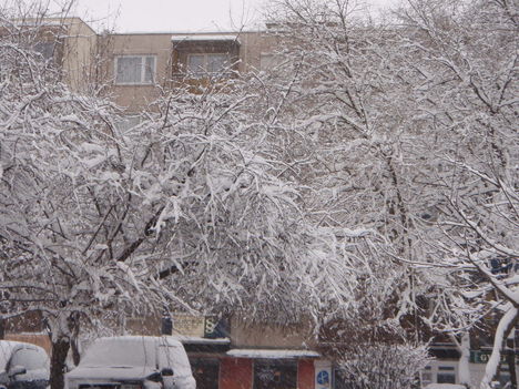 Tél 2010. 14