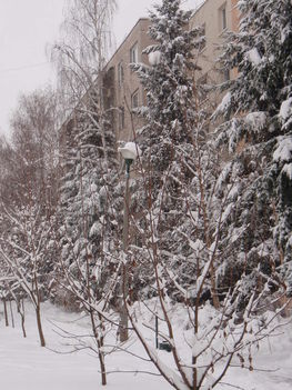 Tél 2010. 22