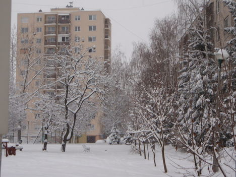 Tél 2010. 23
