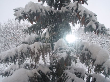 Tél 2010. 2