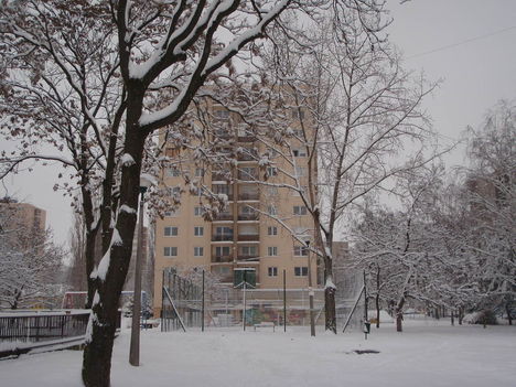 Tél 2010. 31