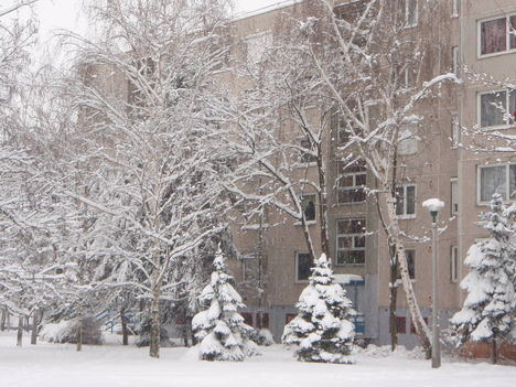 Tél 2010. 32